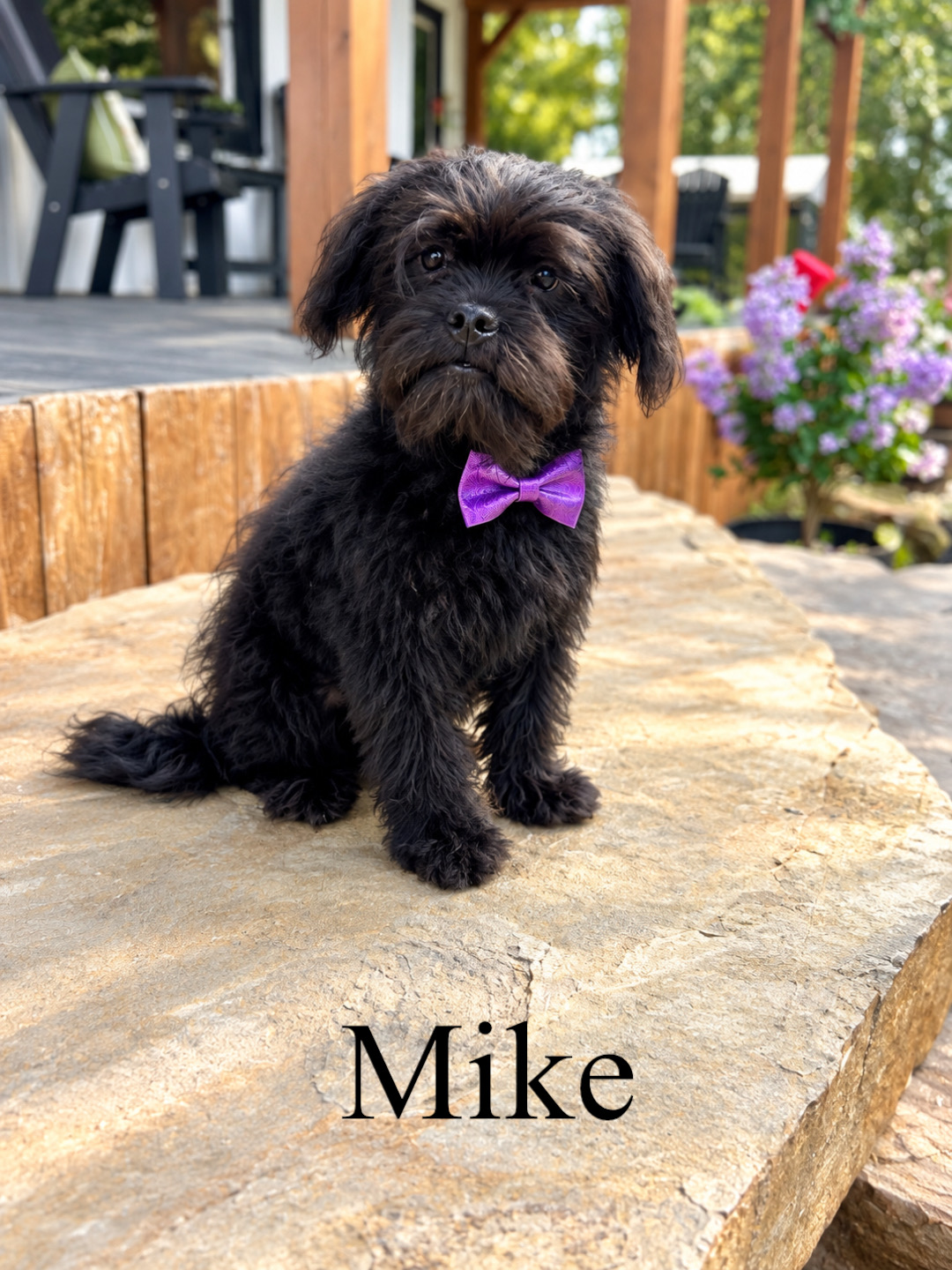 Mike 1